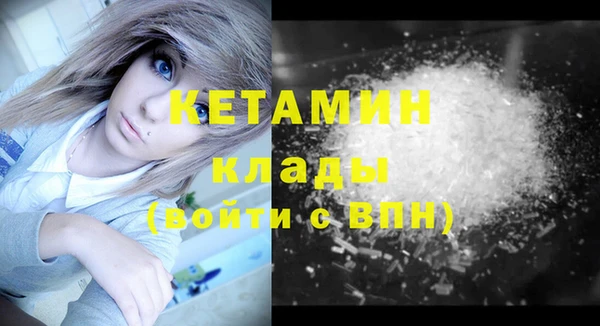 трава Осинники
