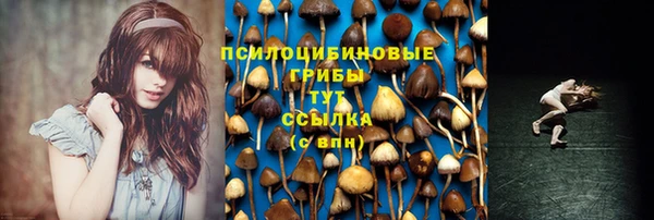 шишки Абдулино
