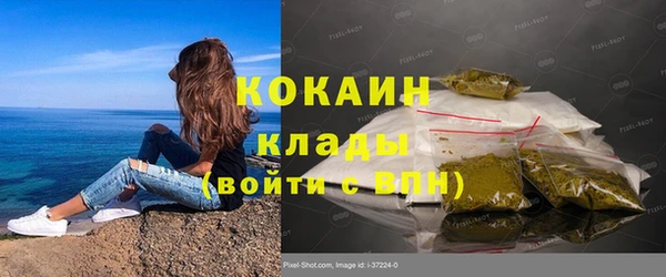 шишки Абдулино